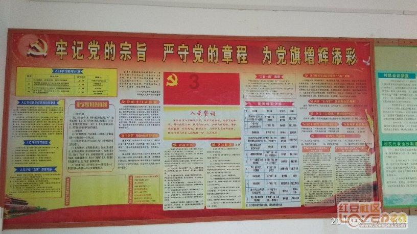 果冻分裂